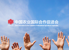 中国农业国际合作促进会|行业协会网站建设